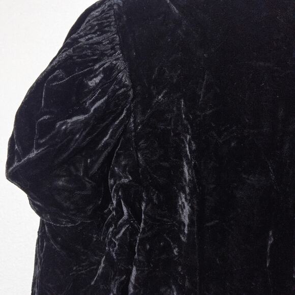 Scott McClintock Women’s Dress Dark Romantic Crushed Velvet Lace Vintage Sz 10 - Picture 3 of 13